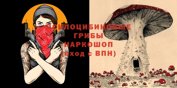 apvp Володарск