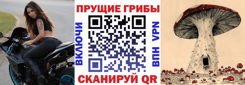 ссылка на мегу ссылки  где можно купить   Заполярный  Псилоцибиновые грибы MAGIC MUSHROOMS 