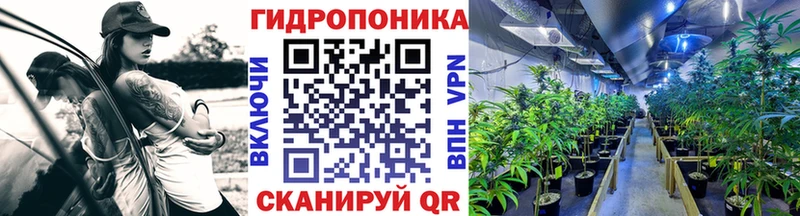 Конопля индика Заполярный
